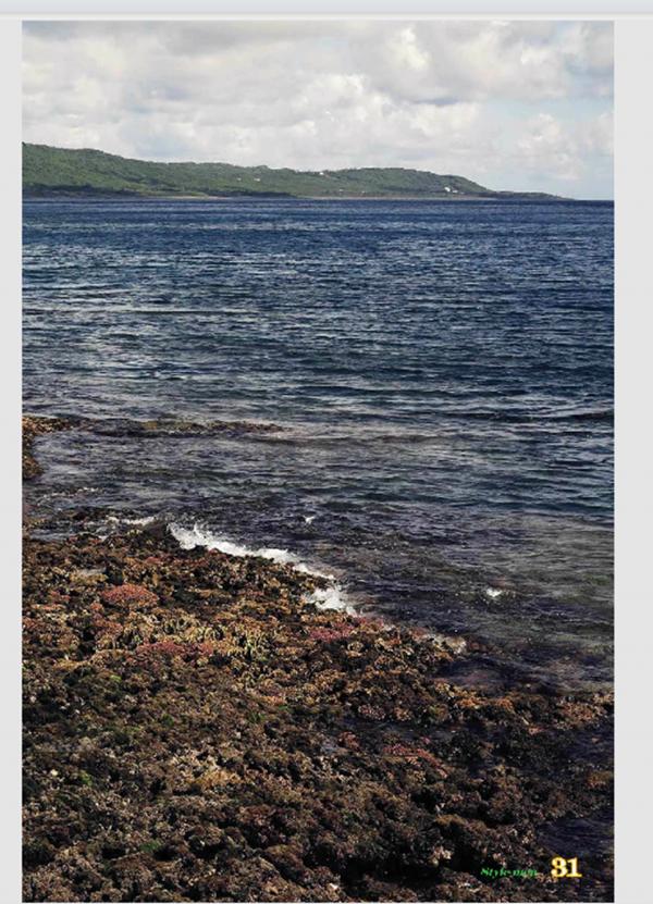 PHOTO-SET-STYLE-MEN-X-21